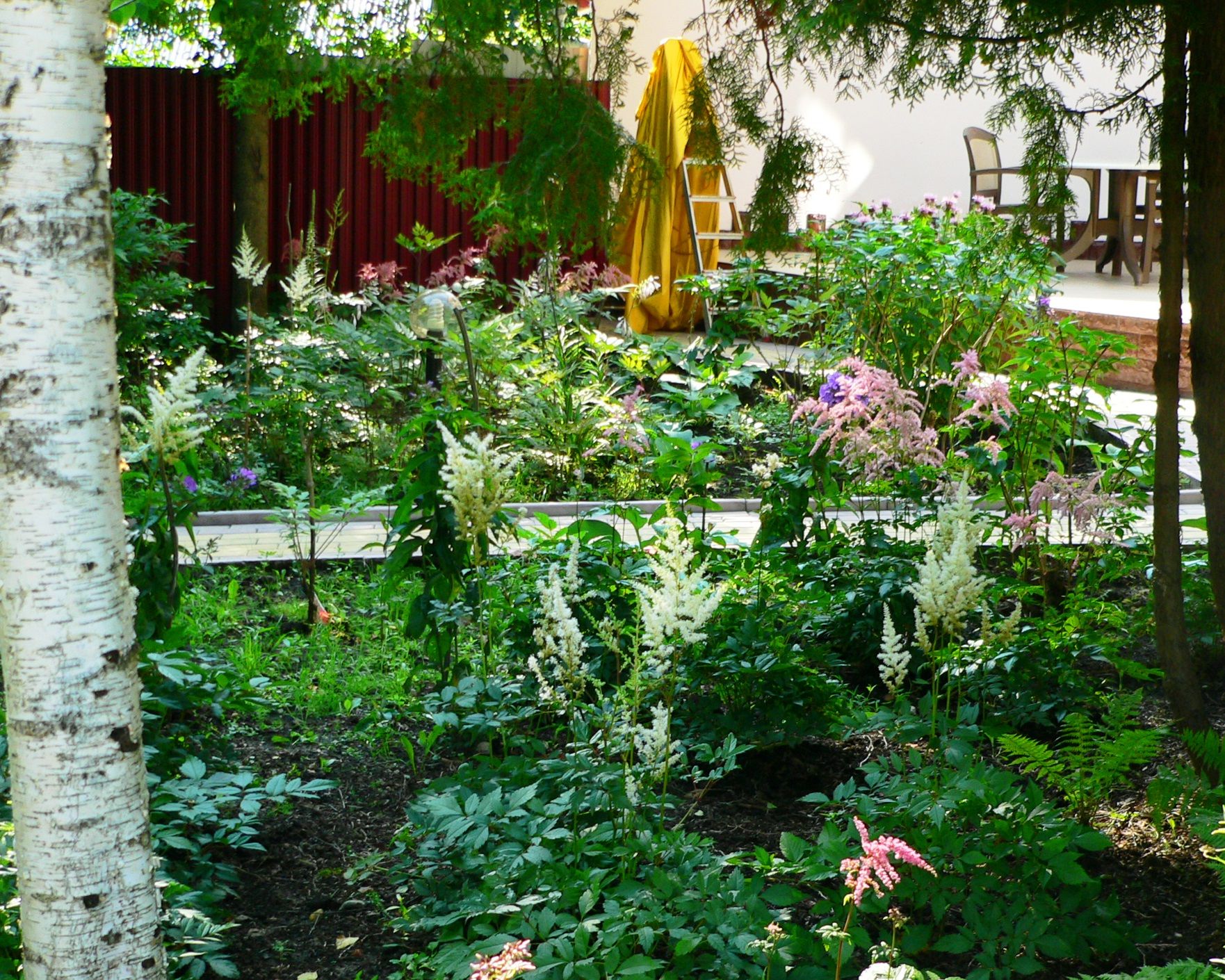 Проект Дачная Поляна